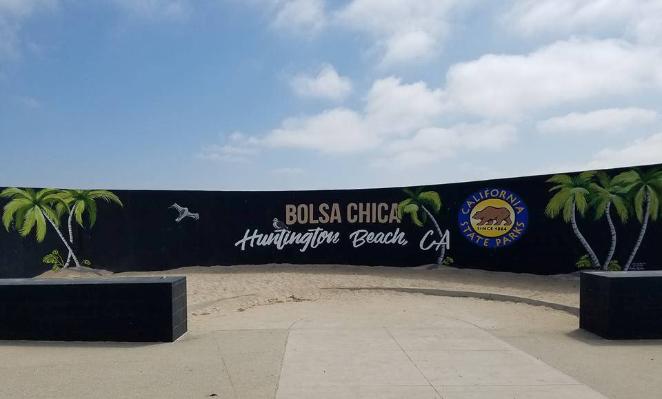 bolsa chica 