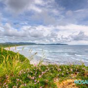 playa guiones