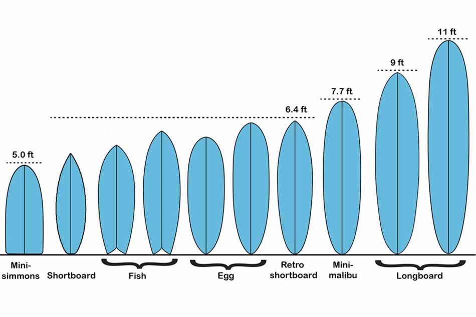 Variety of Surfboards 